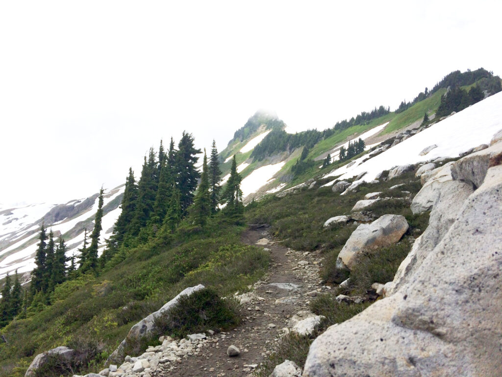 A breathtaking view of the pristine landscapes and towering peaks encountered during scenic hiking trails in the Canadian Rockies.