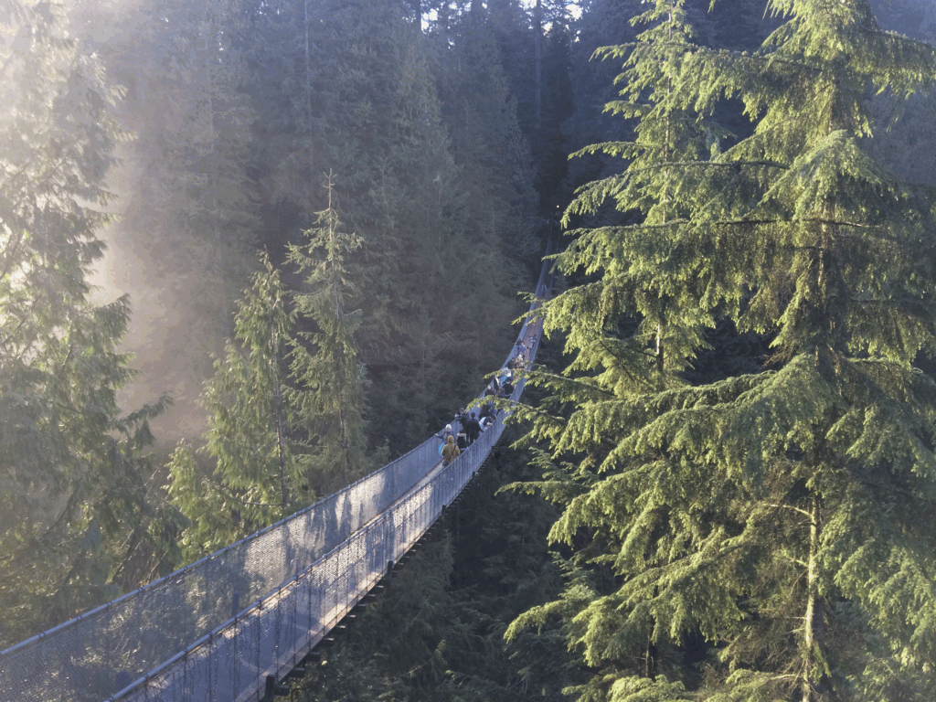 Capilano Suspension Bridge