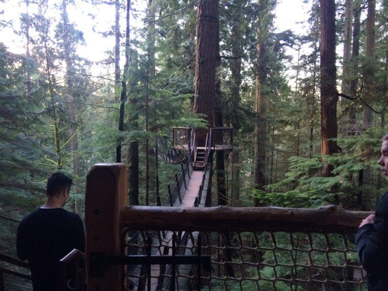 Capilano Suspension Bridge complex,