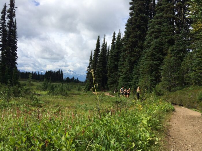 A winding trail in Garibaldi Park